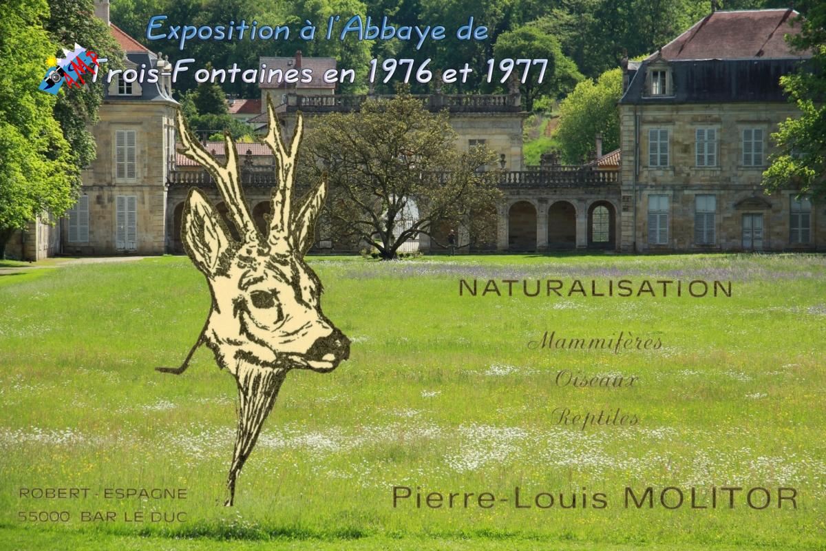 R33_001-carte visite Naturalisation-3_HG